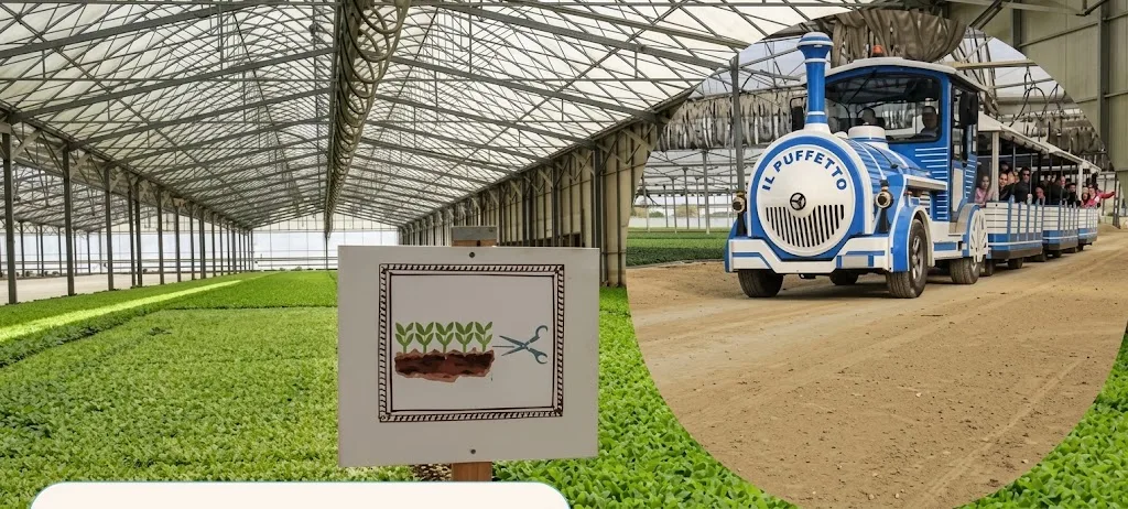Agricola Corradi - Bottega in  campo: Azienda Agricola Express, Il Tour delle serre a Bordo del Trenino!