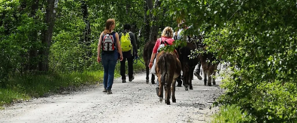 TREKKING SOMEGGIATO NELLA VALLE DEL VENTIA