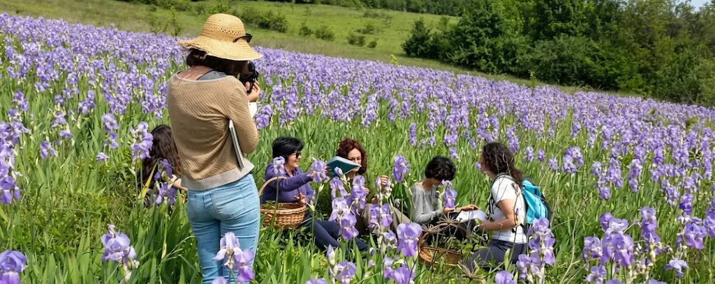 Il giardino di Pimpinella: ERBORISTERIA ALL'ARIA APERTA