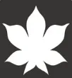Logo di Autunnonero