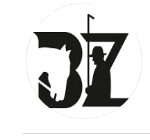 Logo di IL BUTTERO ZONE